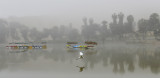 Huacachina.Peru