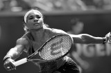 Serena WILLIAMS of USA