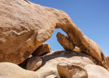 Arch Rock in Joshua Tree National Park