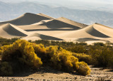 Shadows cast on the Mesquite Flat Sand Dunes looking toward the sun in Death Valley National Park