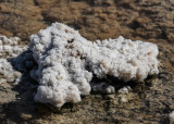 Salt crystal deposits in Badwater Pool in Death Valley National Park