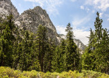 Sheer granite rock walls in Kings Canyon National Park