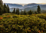 Sunset view from Panoramic Point in Kings Canyon National Park