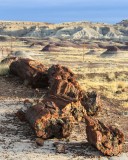 2013 Petrified Forest National Park – Arizona
