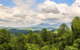 View along Clingmans Dome Road in Great Smoky Mountains National Park