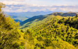 View from Newfound Gap Road in Great Smoky Mountains National Park