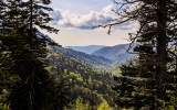 View from Newfound Gap Road in Great Smoky Mountains National Park