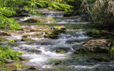 Along the Oconaluftee River in Great Smoky Mountains National Park