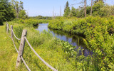 A tranquil creek meanders through the countryside in Maine