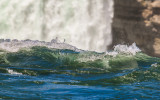 Drops of water on the precipice of their plunge over Horseshoe Falls, from Terrapin Point in Niagara Falls