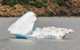 Iceberg in Mendenhall Lake in the Tongass National Forest