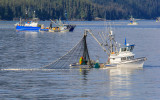 Fishing vessels in Prince William Sound from the Alaska Marine Highway ferry