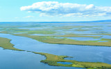 Marsh area between Ambler and Kotzebue