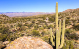 View of the Catalina Mountains from the Javelina Rocks in Saguaro National Park