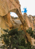 La Ventana Natural Arch from an old trail in El Malpais National Monument
