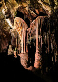 The Parachute, a shield formation, in Lehman Caves in Great Basin National Park