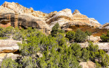 Sand Canyon along the Echo Park Road in Dinosaur National Monument