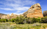 Steamboat Rock in Echo Park along the Green River in Dinosaur National Monument