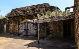 Cactus growing on an overhang at Mission San Jose in San Antonio Missions NHP