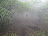 Walking in the mist/rain.