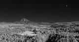 Mount Hood from Jonsrud Point IR crop