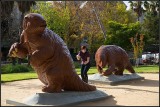 Sloths