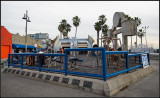 Muscle Beach III