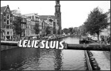 Lelie Sluis