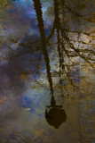 Ombre et couleurs