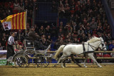 Cavalcade