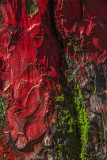 Petit canyon