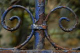 Old Blue