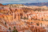 Bryce Canyon National Park - Near Sunset