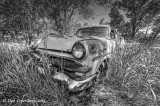 1953 Ford
