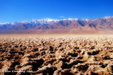 The Salt of the Earth