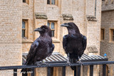 The Watchers