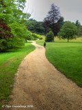 The Path Less Traveled