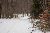 IMG_7089.jpg