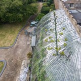 The Century Plant at the Italianate Greenhouse King George VI Park
