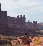 Arches National Park Moab, UT