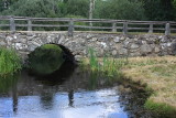 IMG_8241.JPG