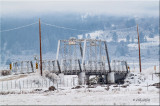 Marbled Hot Springs bridge