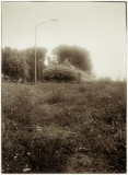 Ensing 220