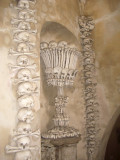 IMGP1251.JPG