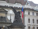 IMGP1225.JPG