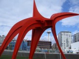 IMGP2450.JPG