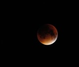 Super eclipse moon 1 DSC_0502.jpg