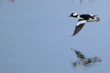 IMG_8121 copy.jpg