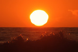 IMG_2766 copy s.jpg