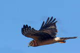 222A5814 copy s.jpg
